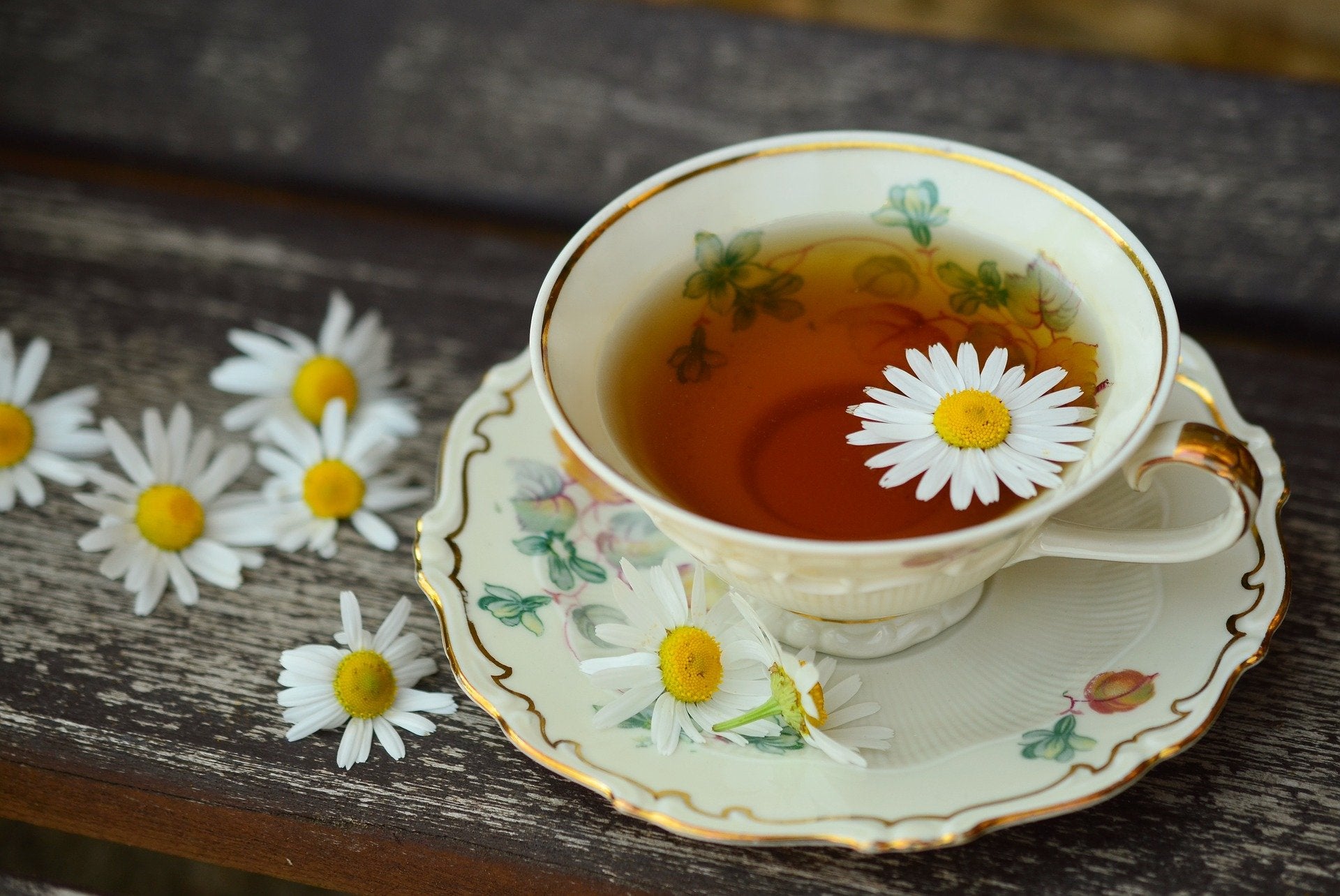 Blumentasse mit frischen Gänseblümchen - Yogi Tea