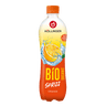 HÖLLINGER- Orangen Sprizz, hohen Orangenfruchanteil, PET-500 ml