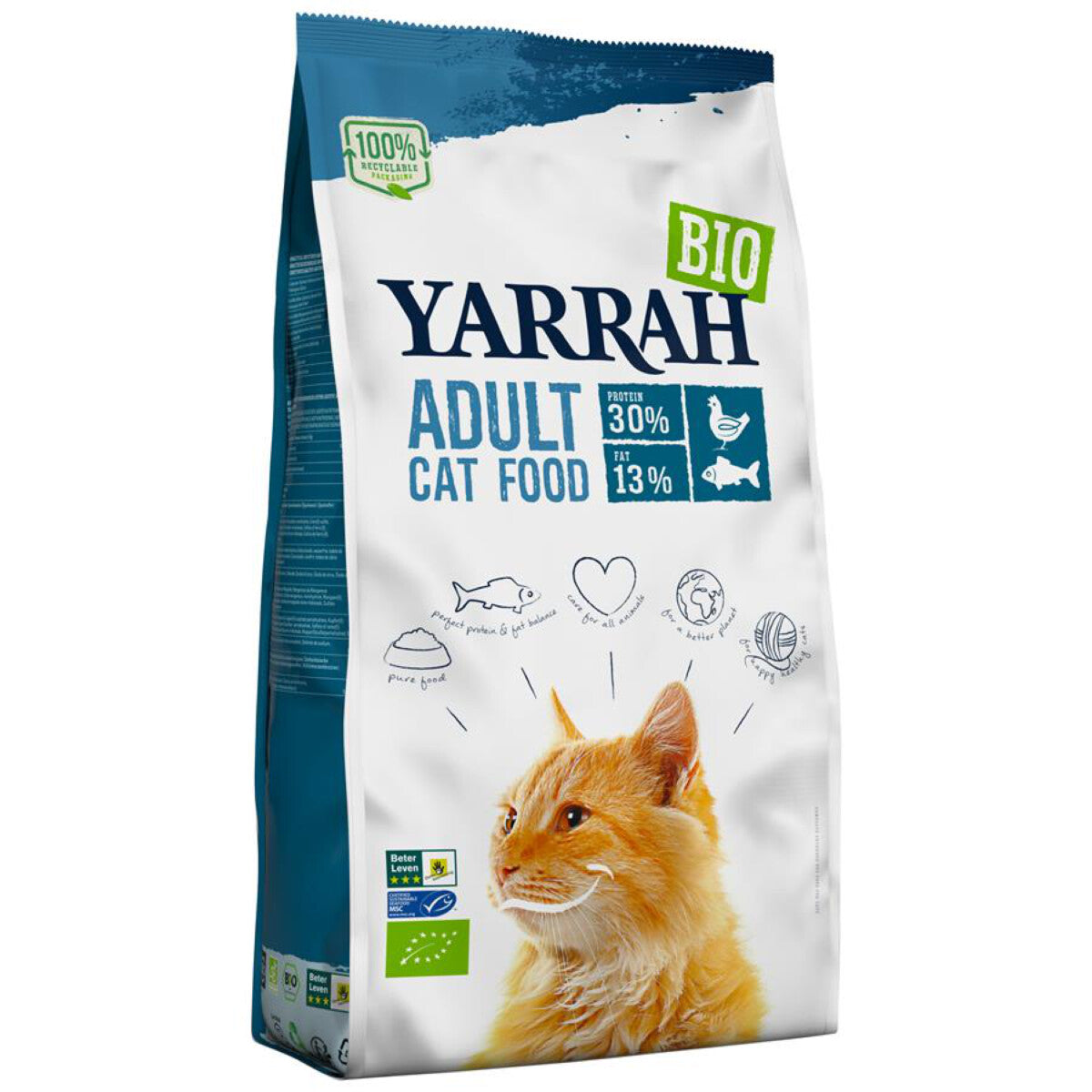 Katzen Trockenfutter Huhn Fisch