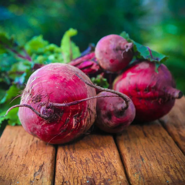 rote_rüben_blogbeitrag