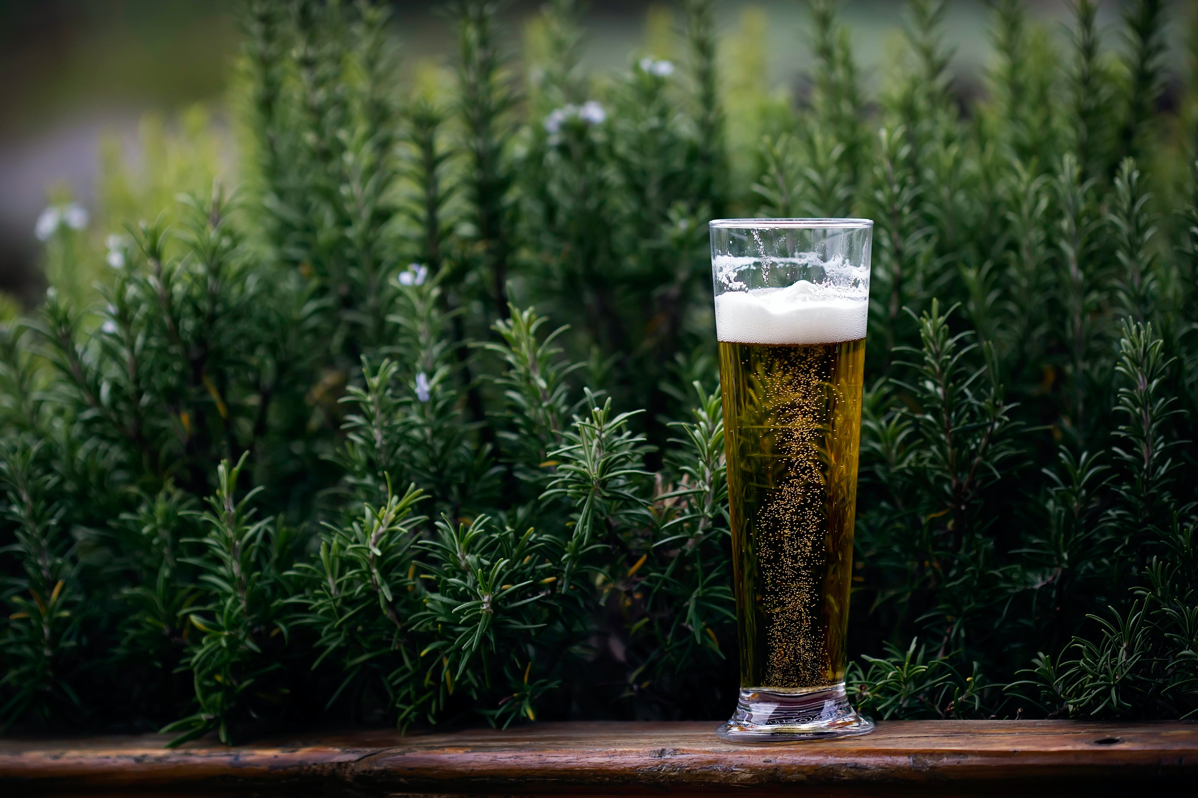 Weißbier