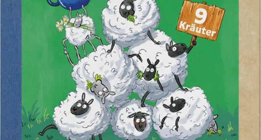SONNENTOR-Grüne Neune Kräuter-Früchte Tee