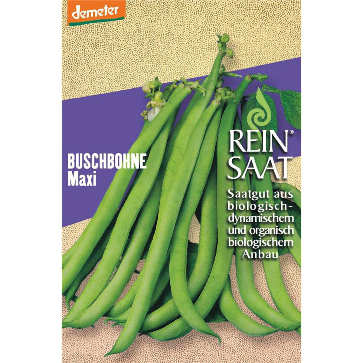 REINSAAT Buschbohnen Maxi - 1 Btl