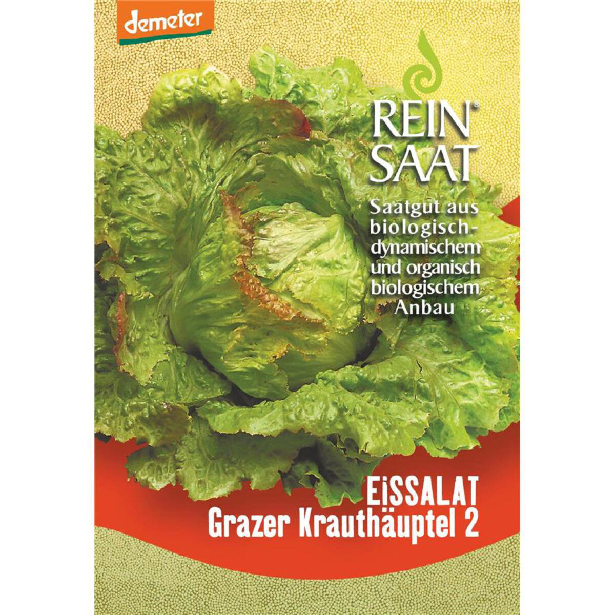 REINSAAT Eissalat Grazer Krauthäuptel - 1 Btl