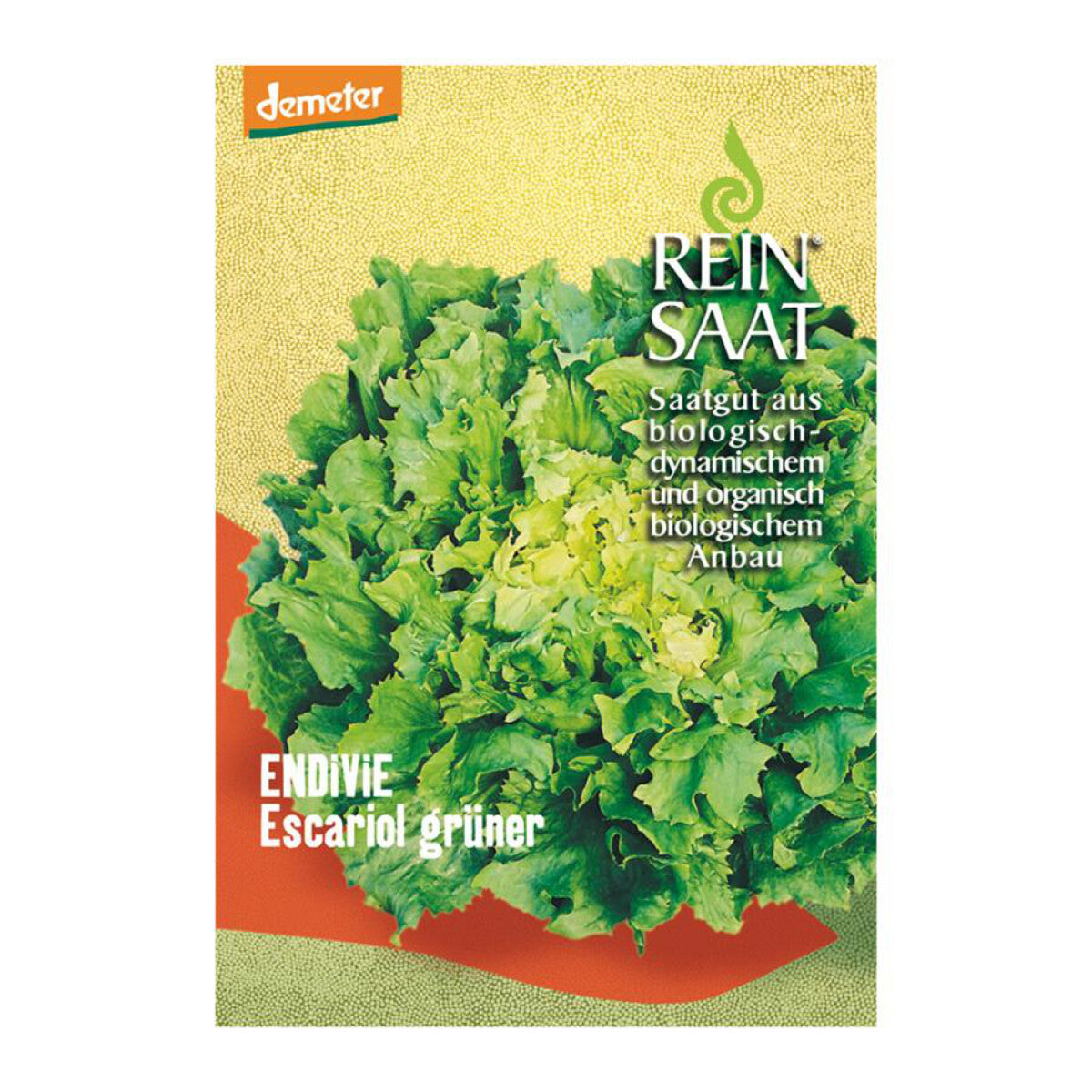 REINSAAT Endivie Escariol Grün - 1 Btl