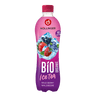 HÖLLINGER- Ice Tea Waldbeere, PET-500 ml