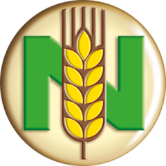 Nestelberger_Logo
