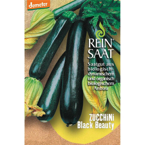 REINSAAT Zucchini Black Beauty - 1 Beutel 