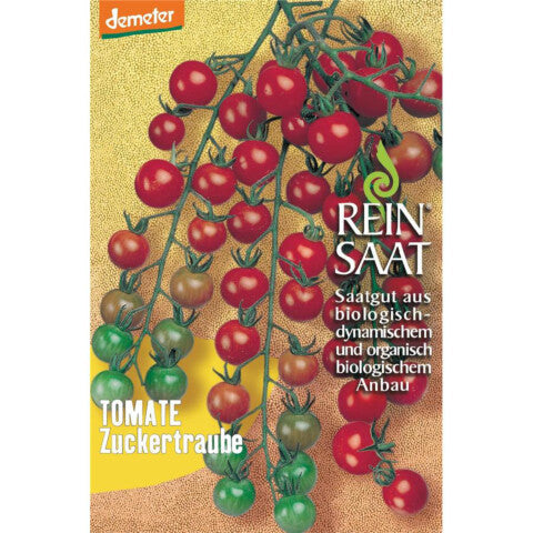 REINSAAT Cocktailtomate Zuckertraube – 1 Beutel 