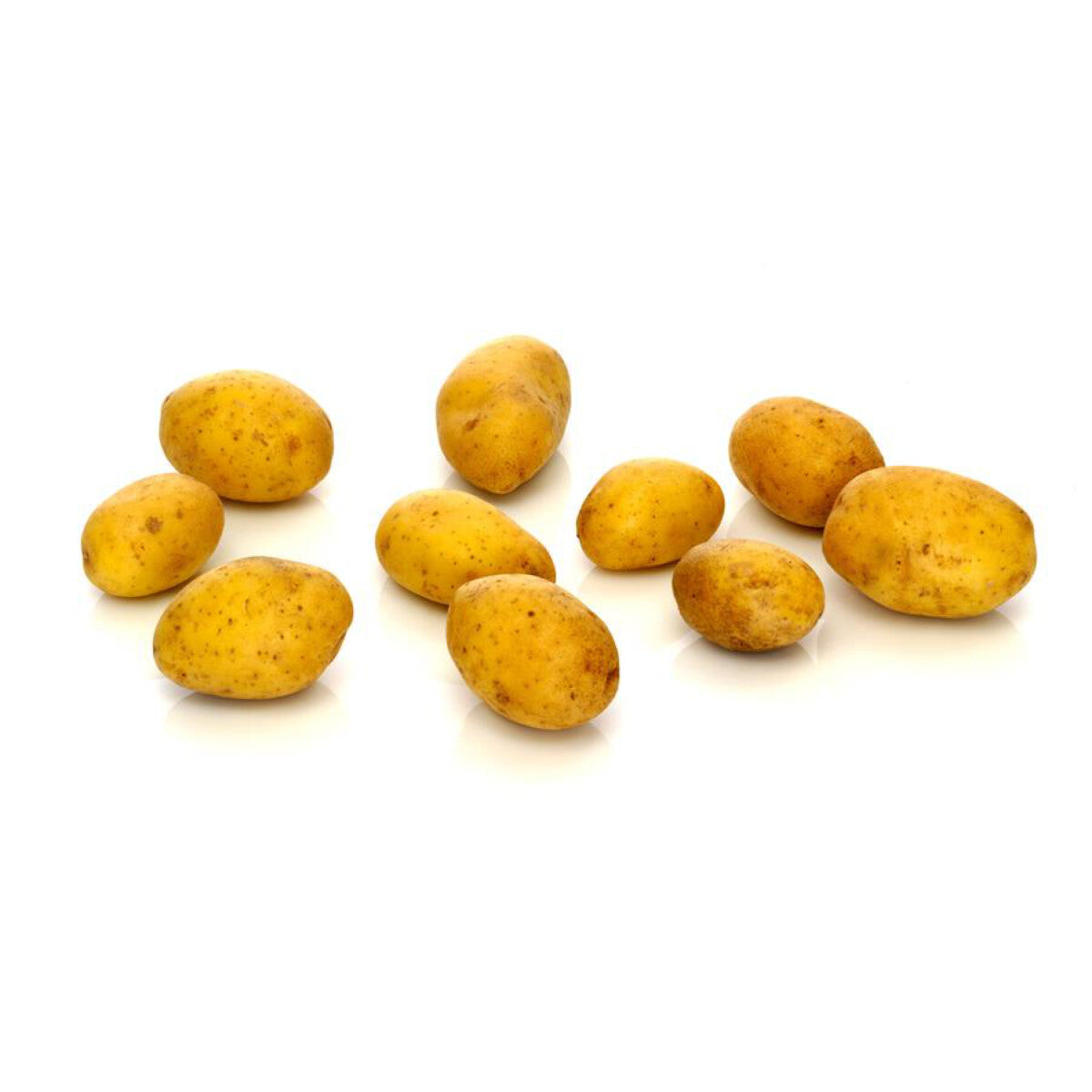 BIOHOF LISA MARIA KARGL Kartoffel Ditta festkochend - 1 kg