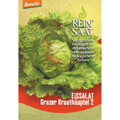 REINSAAT Eissalat Grazer Krauthäuptel - 1 Beutel 