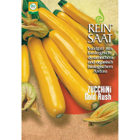 REINSAAT Zucchini Gold Rush - 1 Beutel 