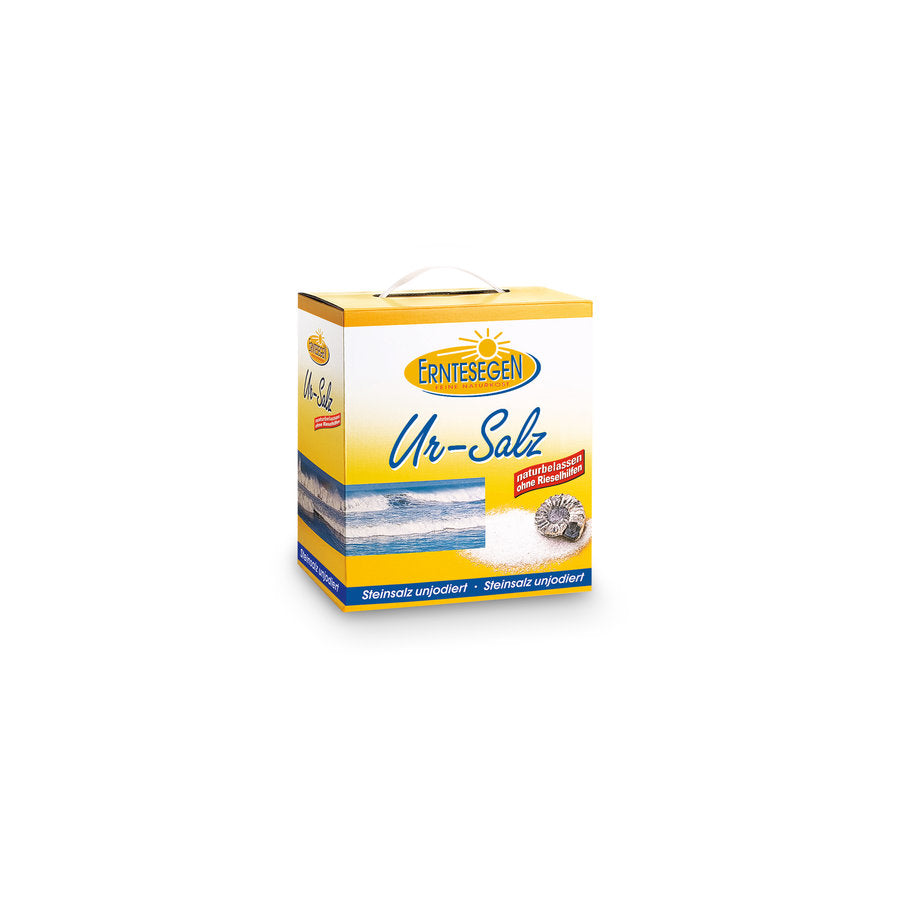 ERNTESEGEN Ur-Salz im Tragekarton - 5 kg