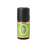 PRIMAVERA Ingwer - 5 ml