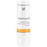 DR. HAUSCHKA Lippengold - 4,9 g