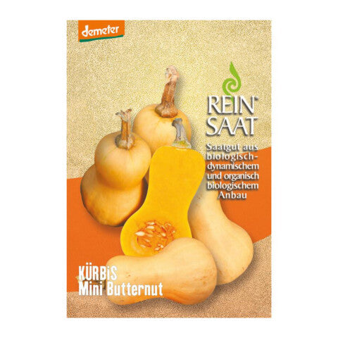 REINSAAT Kürbis Mini Butternut - 1 Beutel 