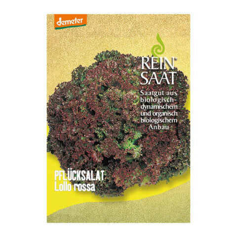 REINSAAT Pflücksalat Lollo Rossa – 1 Beutel 