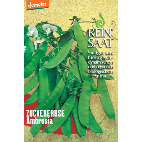 REINSAAT Zuckererbse Ambrosia - 1 Beutel 