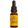 RAPUNZEL Propolisauszug  - 20 ml