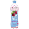 HÖLLINGER Himbeer Sprizz PET - 0,5 l