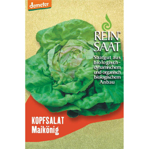 REINSAAT Kopfsalat Maikönig – 1 Beutel 