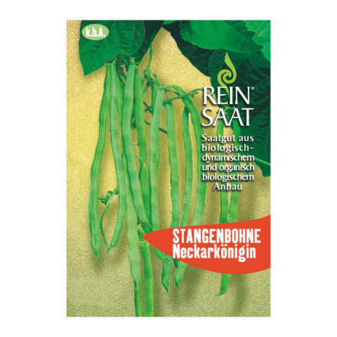 REINSAAT Stangenbohnen Neckarkönigin - 1 Beutel 