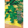 REINSAAT Salatrauke Rucola - 1 Beutel 