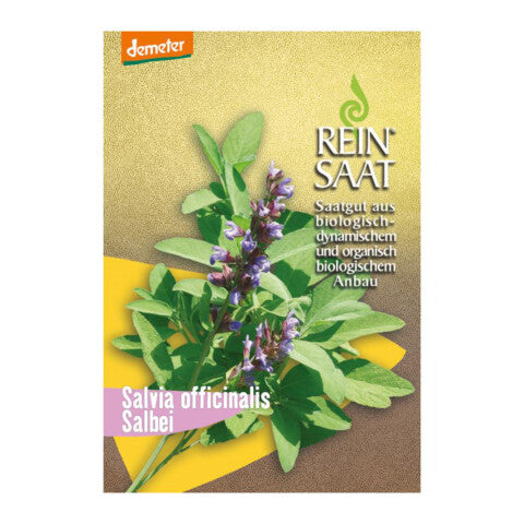 REINSAAT Salbei – 1 Beutel 
