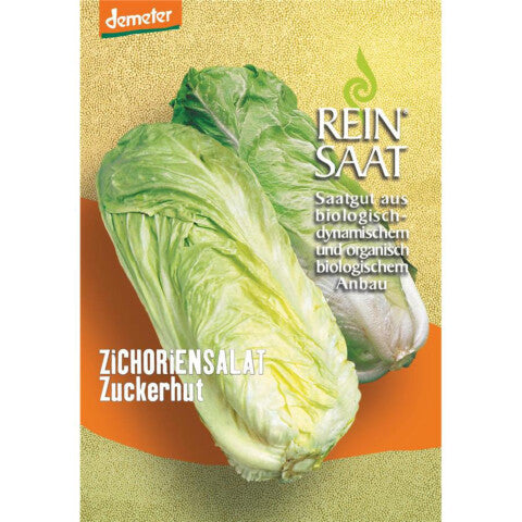 REINSAAT Zichoriensalat Zuckerhut - 1 Beutel 