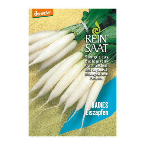 REINSAAT Radies Eiszapfen – 1 Beutel 