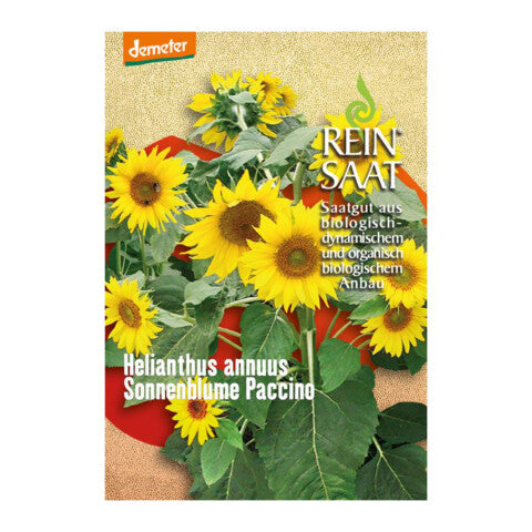 REINSAAT Sonnenblume Paccine - 1 Beutel 