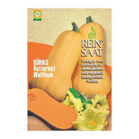 REINSAAT Kürbis Butternut Waltham – 1 Beutel 